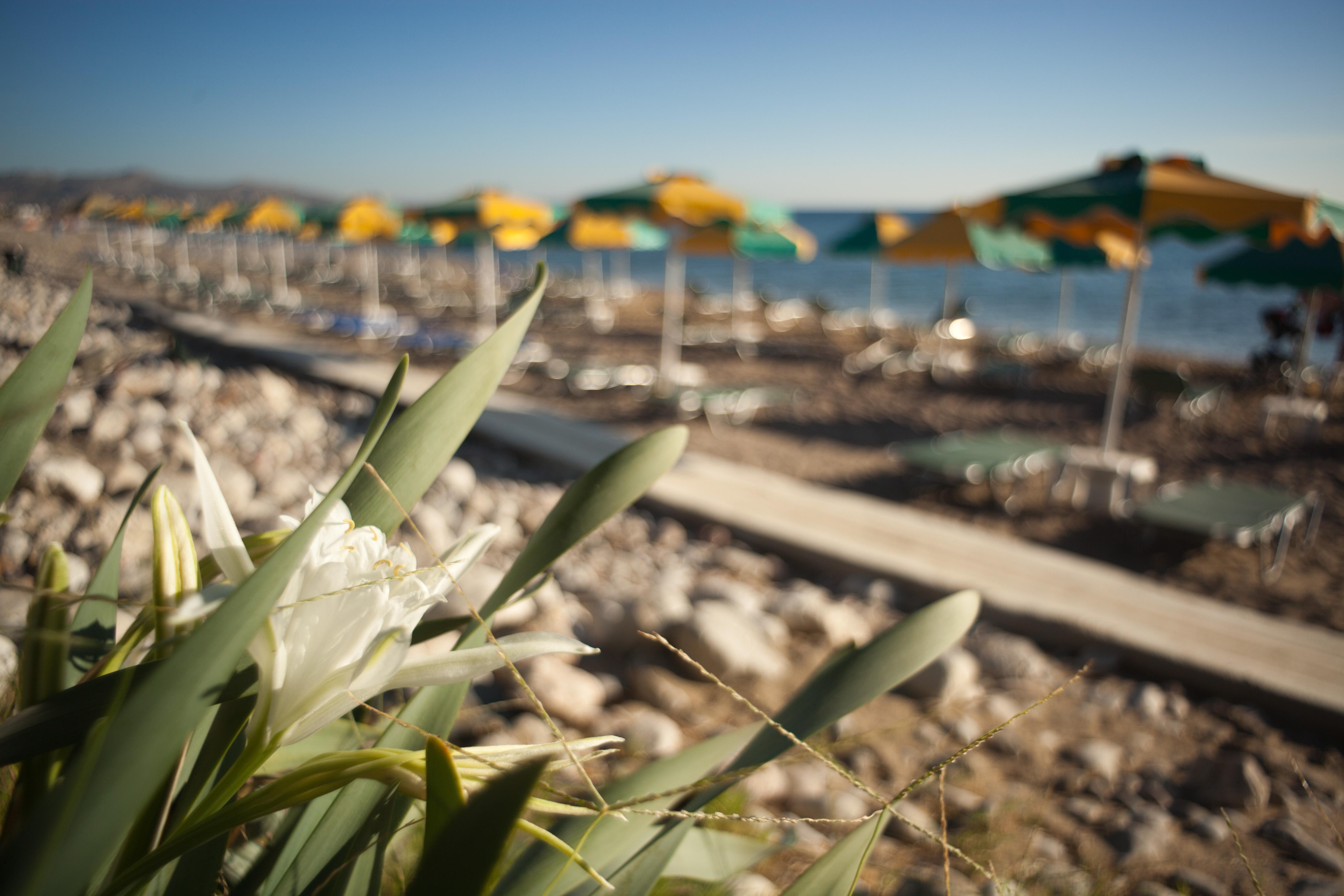 Irene Palace Beach Resort Kolímbia Kültér fotó